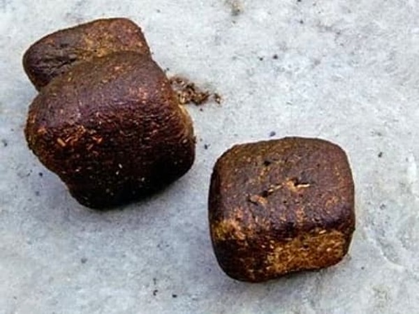 14. Вомбаты испражняются кубиками