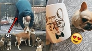 Köpekleri Çılgınca Seven İnsanlardansanız Kesinlikle Sahip Olduğunuz 20 Özellik