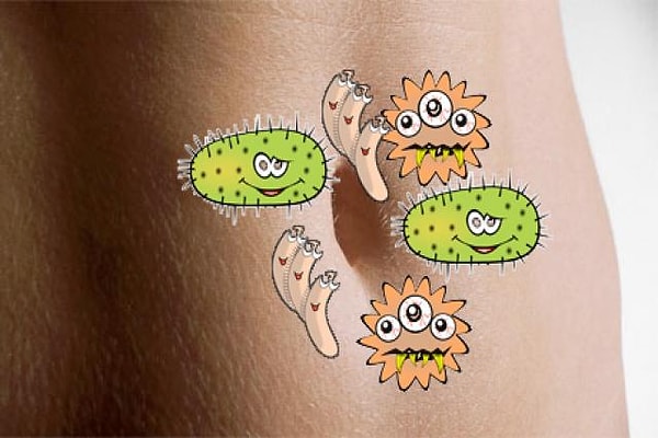 10. В одном только нашем пупке существует целая экосистема