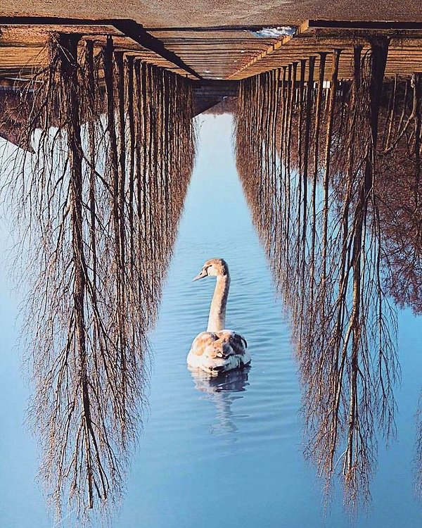 Adım Monica Carvalho ve foto manipülasyonlarla insanların kafasını karıştırmayı seviyorum. ☺️