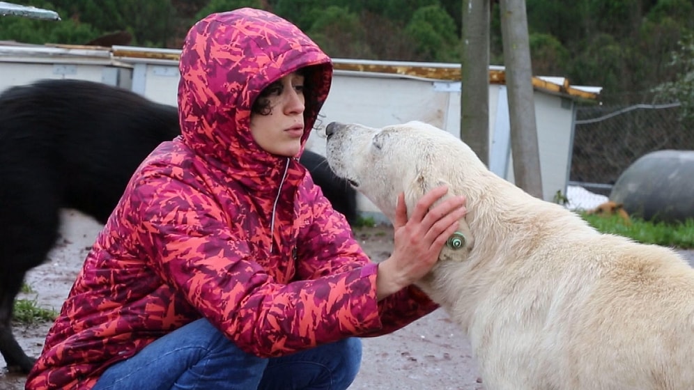 Hayvanlara Karşı Yapılan Şiddete Ses Çıkararak Fark Yaratıyorlar: Hayvan Hakları İzleme Komitesi