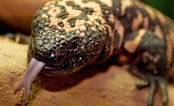 К сожалению, ошибка