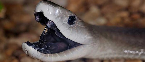 Неправильный ответ!