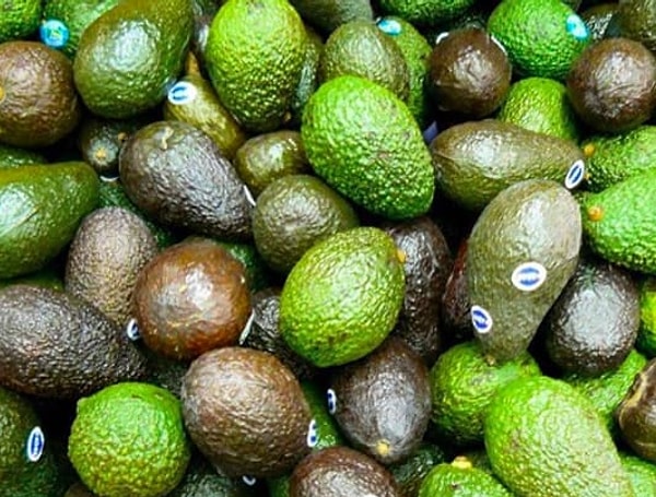 15. Авокадо - это ягода!