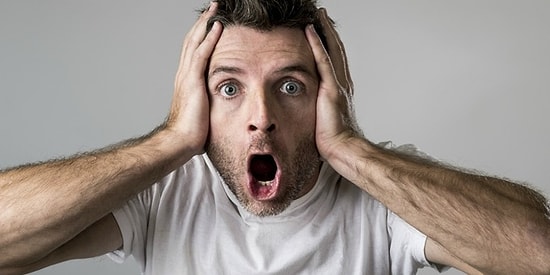 Дельфины зовут друг друга по именам: 20 ошеломляющих фактов, от которых ваши брови взлетят к небесам