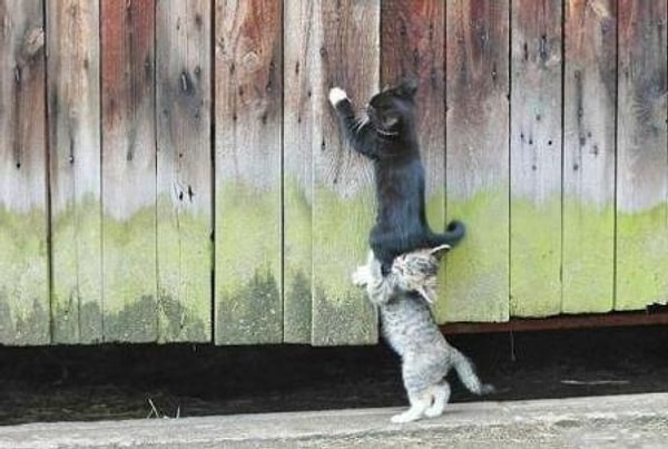 Всегда есть тот, кто придет вам на помощь 👍