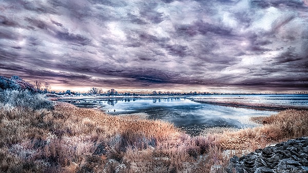 3. Озеро на территории Чернобыльской зоны отчуждения