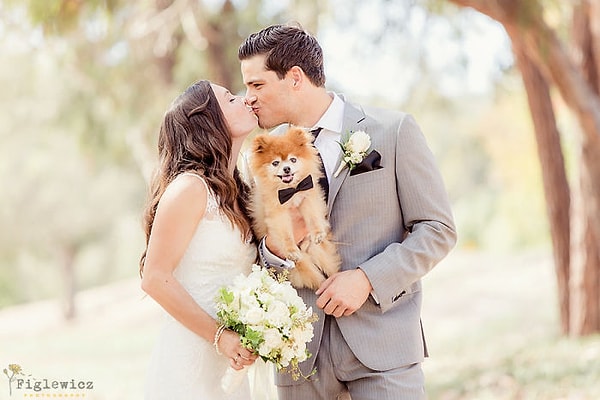 4. Луна и Гил далеко не первые хозяева собак, не забывшие про братьев наших меньших в свой самый важный день в жизни