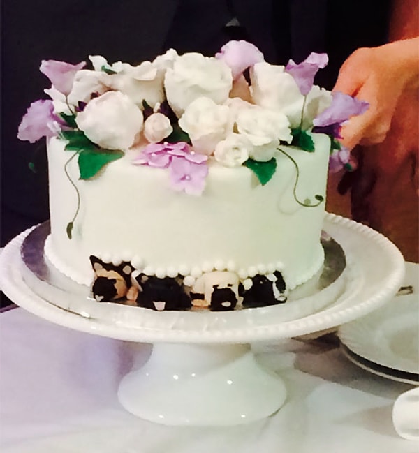 13. А где же собачки? А вот они! Спрятались внизу 😉