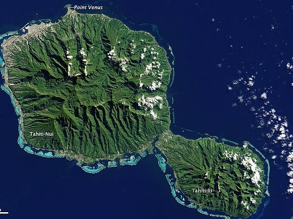 Показать правильный ответ: