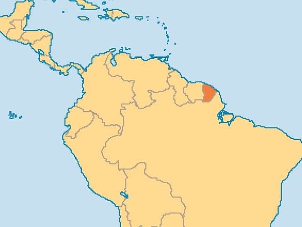 Показать правильный ответ: