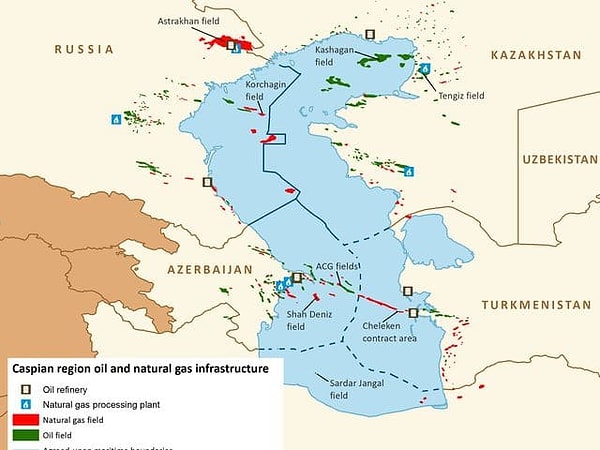 Показать правильный ответ: