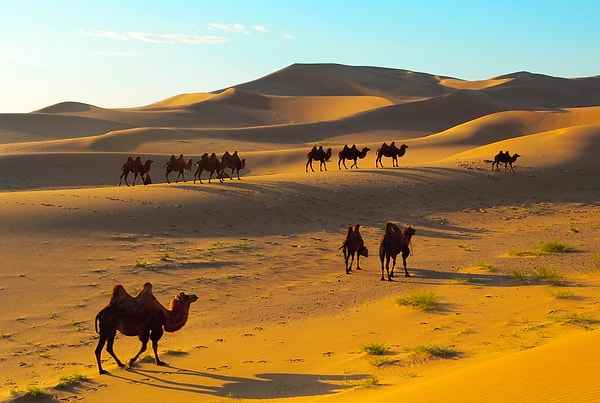 5. Где находится пустыня Гоби?