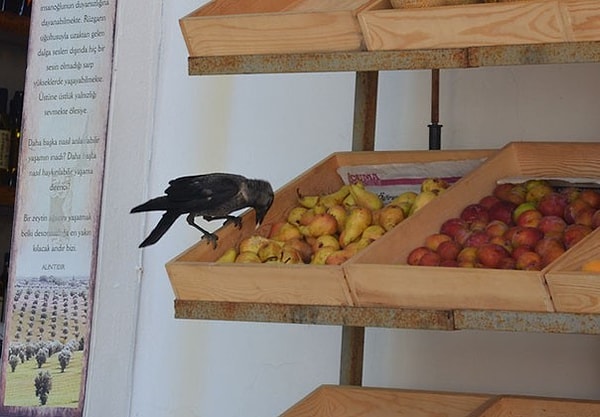 2. "Скидочки, мои любимые зимние скидочки"