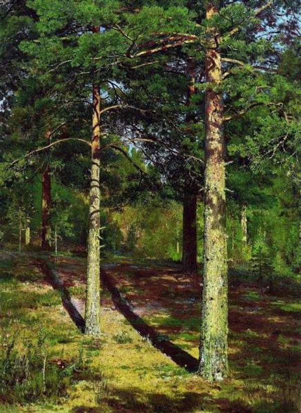 7. Сосны, освещённые солнцем. 1886.