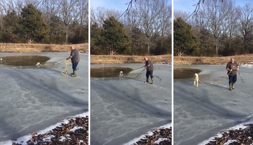 Donmuş Göle Düşerek Çaresizce Yardım Bekleyen Köpeği Kurtaran Güzel İnsan