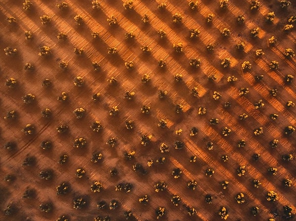 9. "Геометрия жидкого золота", Хавьер дель Керро. Второе место в категории "Пейзаж" (команда любителей)