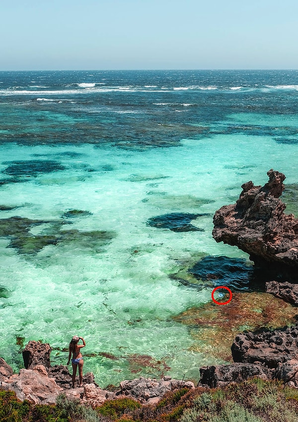 Посмотреть, где эмоджи: