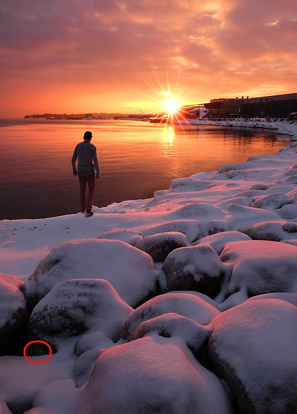 Посмотреть, где эмоджи: