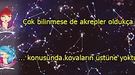 Burçların Öğrenince Çok Şaşıracağınız Daha Önce Hiç Duyulmamış Özellikleri!