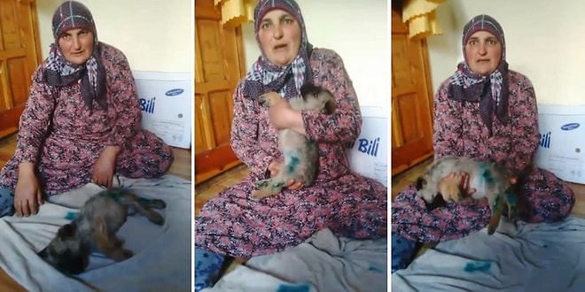 Bu Nasıl Bir Vicdansızlık? Üzerine Kaynar Su Döküp Çöpün Kenarına Atılan Yavru Köpek