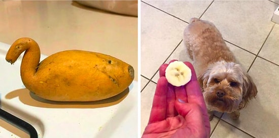 18 вещей, которые настолько нелепы, что на них даже больно смотреть... 😫