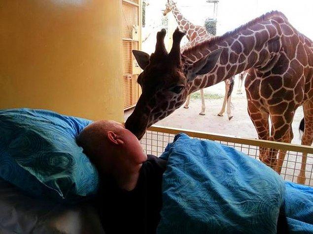 22. Zihinsel rahatsızlığına rağmen 25 yıldır hayvanat bahçesinde olan Mario'nun zürafalarıyla vedalaşması... 😢