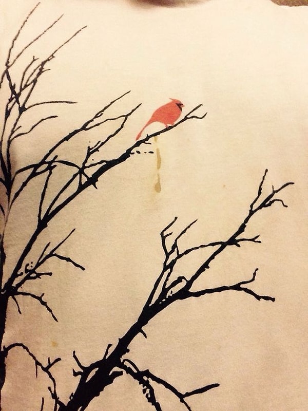 14. Она просто уронила яйцо на футболку