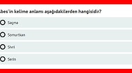 Bu Kelime Testini Çözenlerin %70'i Son Soruyu Göremiyor!