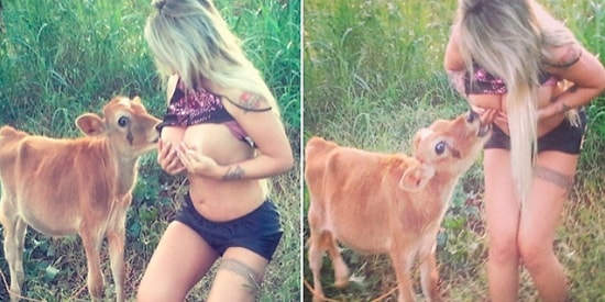 Hayvanlara Cinsel Haz Duyup Onlarla Cinsel İlişkiye Girmeye Dayanan Korkunç Bir Alışkanlık: Bestialite