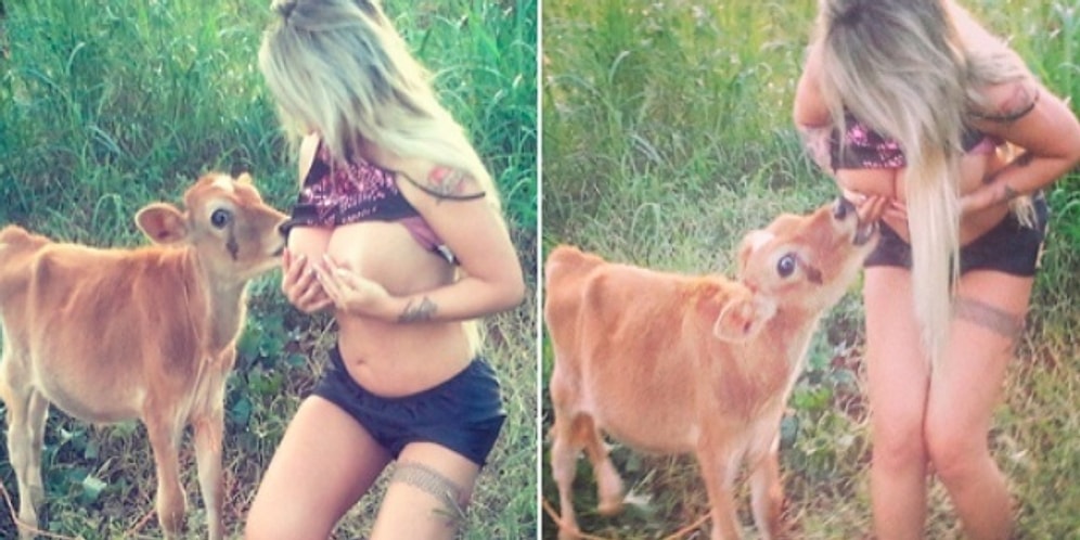 Hayvanlara Cinsel Haz Duyup Onlarla Cinsel İlişkiye Girmeye Dayanan Korkunç Bir Alışkanlık: Bestialite