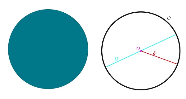 7. Чему равна площадь круга? 🔵🔴⚪️