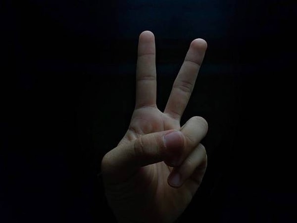 12. Существует два вида дежавю: deja entendu ("уже слышанное") и deja vecu ("уже пережитое").