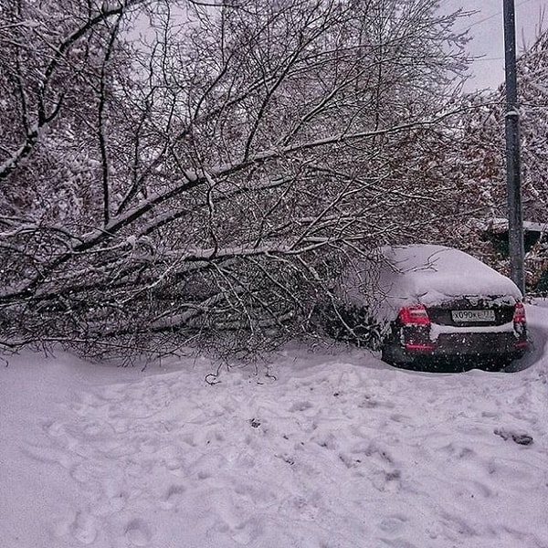 10. Оставлять машины на улице становилось всё более опасной затеей: