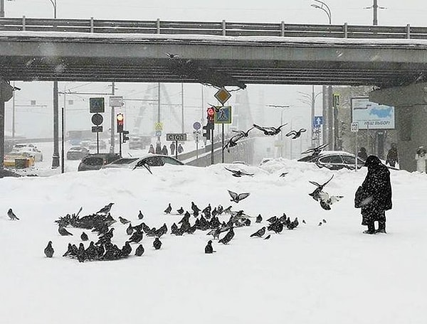 11. ❄️❄️❄️