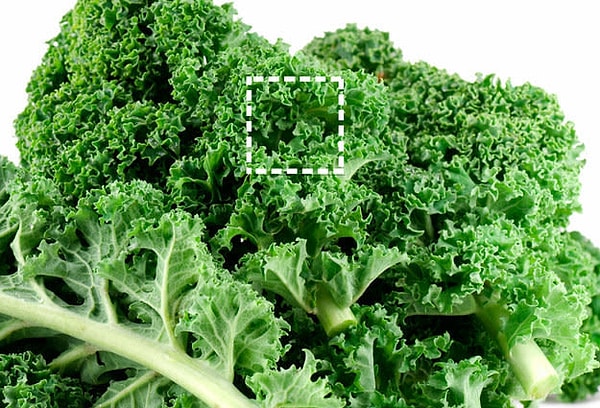 Посмотреть правильный ответ: