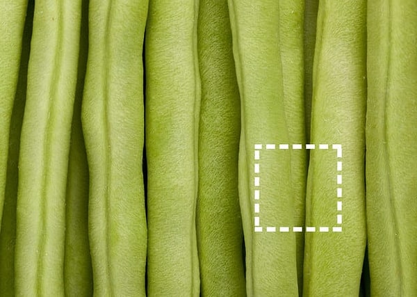 Посмотреть правильный ответ: