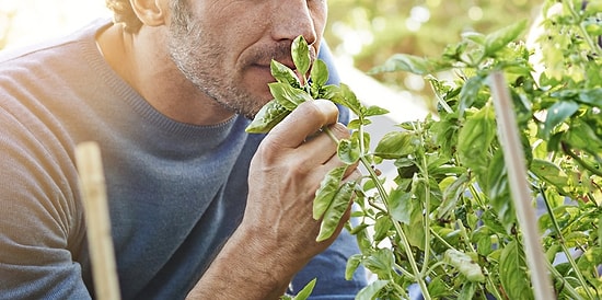Гиперчувствительны к запахам? Эти 17 лайфхаков позволят избавиться от неприятных ароматов навсегда