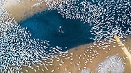 Gökyüzünden Nefes Kesen Kareler! SkyPixel Geçtiğimiz Yılın En İyi Drone Fotoğraflarını Seçti
