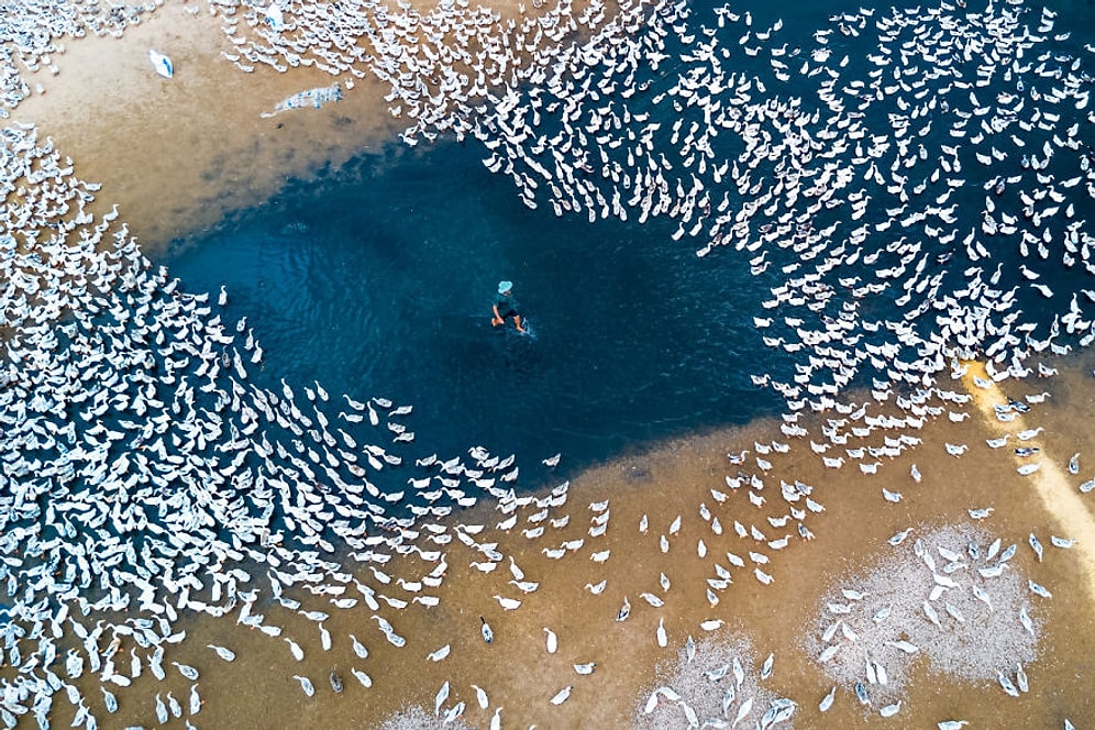 Gökyüzünden Nefes Kesen Kareler! SkyPixel Geçtiğimiz Yılın En İyi Drone Fotoğraflarını Seçti