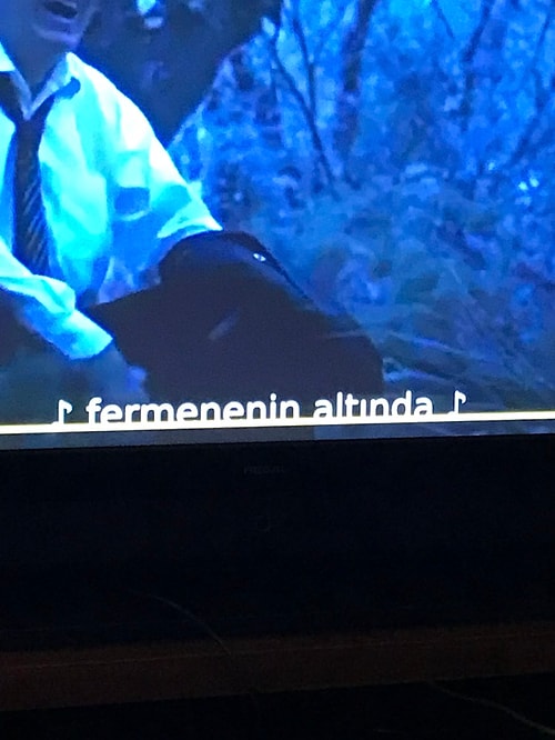 Türk Çevirmenlerin Eşinin Benzerinin Olmadığının Kanıtı 21 Dizi ve Film Çevirisi