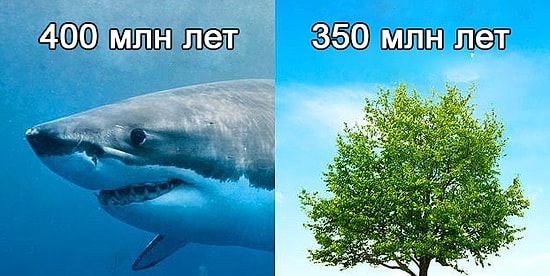 15 сумасшедших фактов о нашем мире, от которых у вас челюсть упадет на пол