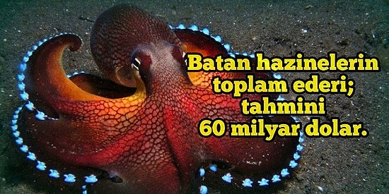 Okyanuslara Dair Öğrendikçe Kendinizi Daha da Küçük Hissedeceğiniz İlginç ve Korkunç 20 Bilgi