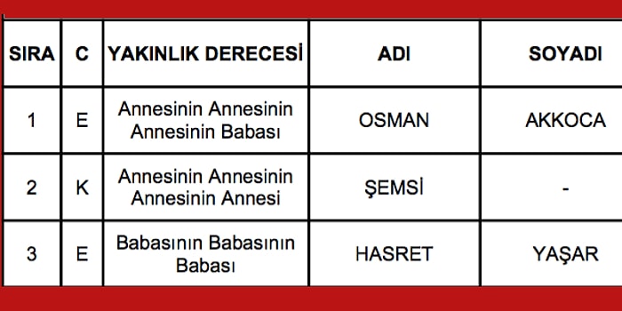 E-Devlet'e Gerek Yok! Soyağacına Göre Atalarının Nereden Geldiğini Söylüyoruz!