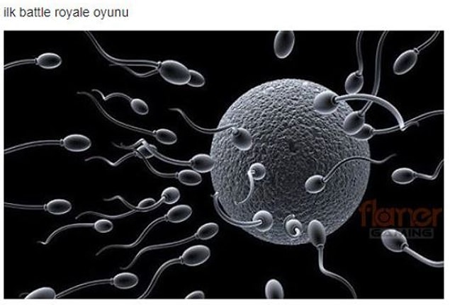 Hepimizin girdiği ilk battle royale oyunu...