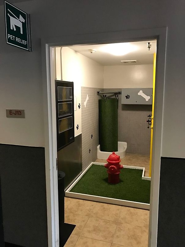 14. Туалет для собак в аэропорту