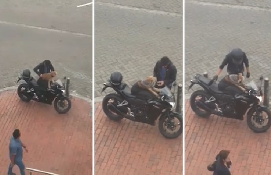 Köpek Dostunu Motora Bindirmek İçin Muhteşem Bir Çözüm Bulan Adam