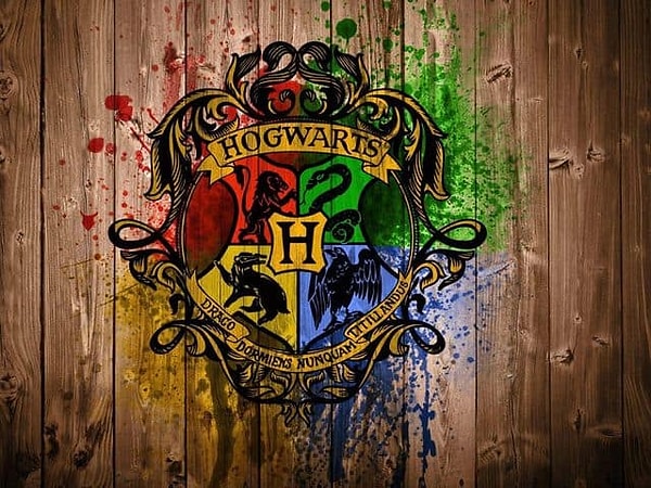 5. На каком факультете вы хотели бы учиться?