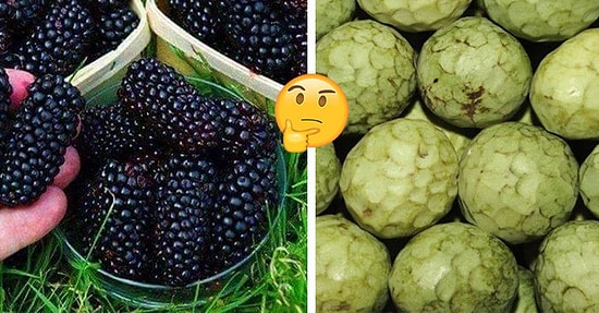 Тест: Сможете ли вы узнать все эти экзотические фрукты и ягоды?