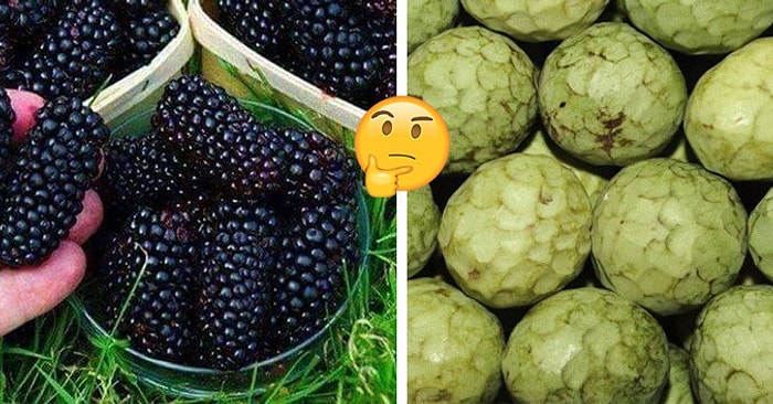 Тест: Сможете ли вы узнать все эти экзотические фрукты и ягоды?